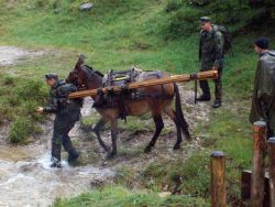 Muli-Einsatz zum Materialtransport in Kreuth