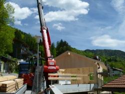 Montage Bauelemente mit Teleskoplader