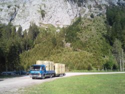 Heutransport mit LKW