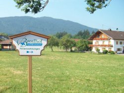 Hofschild