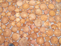 Stirnholzplaster aus Lärchenholz