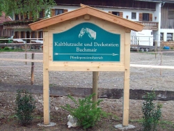 Hofschild